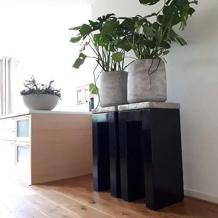 Unique B&b, In The Historic Centre Of アパート エダム