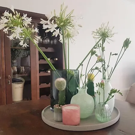 Unique B&b, In The Historic Centre Of Apartment